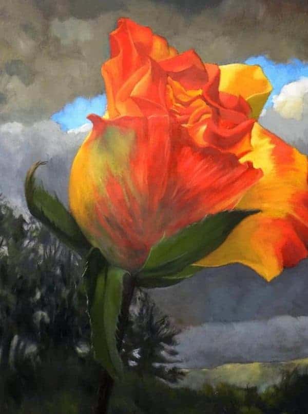 Lake George Rose by Roger Beale AO