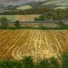 Tractor Tracks by Roger Beale AO