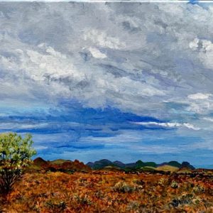 A solitary wattle surveys the storm looming over the Ranges by Chrissie Lloyd