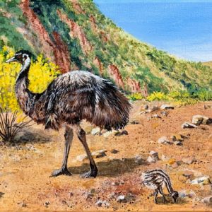 Daddy day care - Flinders Ranges by Chrissie Lloyd