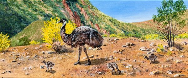 Daddy day care - Flinders Ranges by Chrissie Lloyd