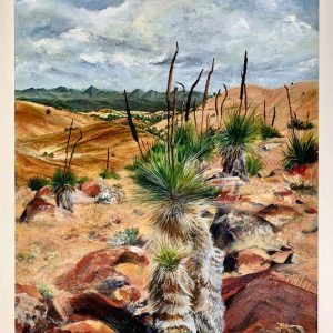 Xanthorrhoea in the Flinders II - Huck’s Lookout by Chrissie Lloyd