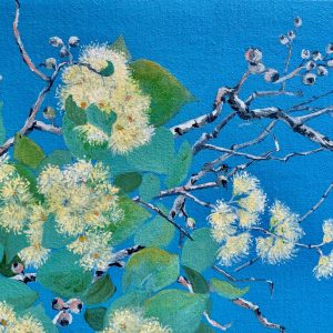 Acacia blossoms I - Arkaroola by Chrissie Lloyd