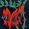 Sturt’s Desert Pea II by Chrissie LloydSturt’s Desert Pea II by Chrissie LloydSturt’s Desert Pea II by Chrissie Lloyd