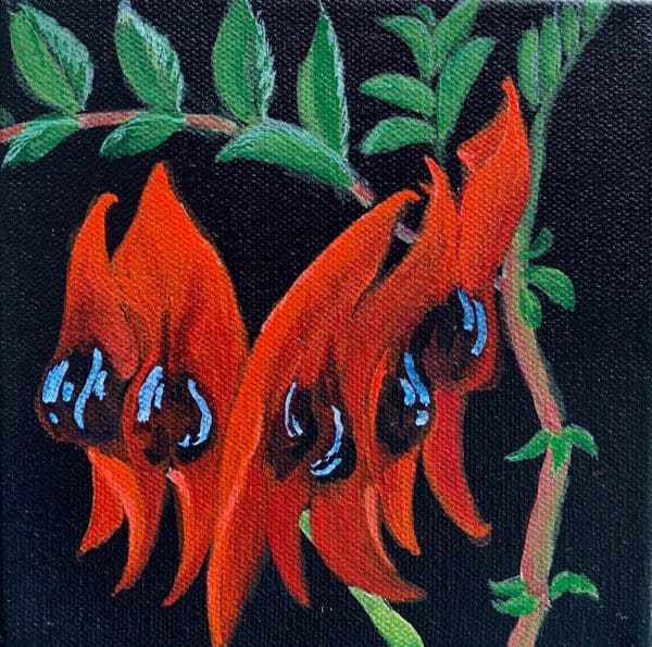 Sturt’s Desert Pea II by Chrissie LloydSturt’s Desert Pea II by Chrissie LloydSturt’s Desert Pea II by Chrissie Lloyd