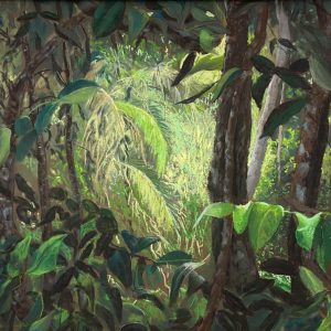 Daintree by Roger Beale