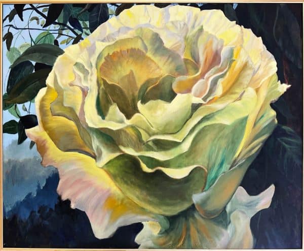 Evening Rose by Roger Beale
