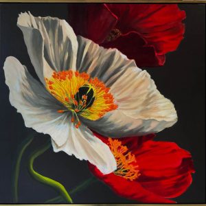 Flamenco poppies by Roger Beale