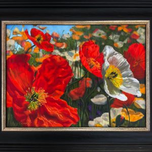 Floriade Poppies study by Roger Beale