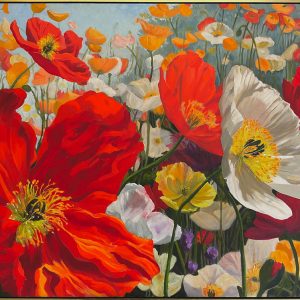 Floriade Poppy Field by Roger Beale