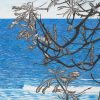 Coastal Banksia by Petros Papoulis