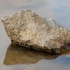 Hurtle 4 by Marilyn Hutchinson
