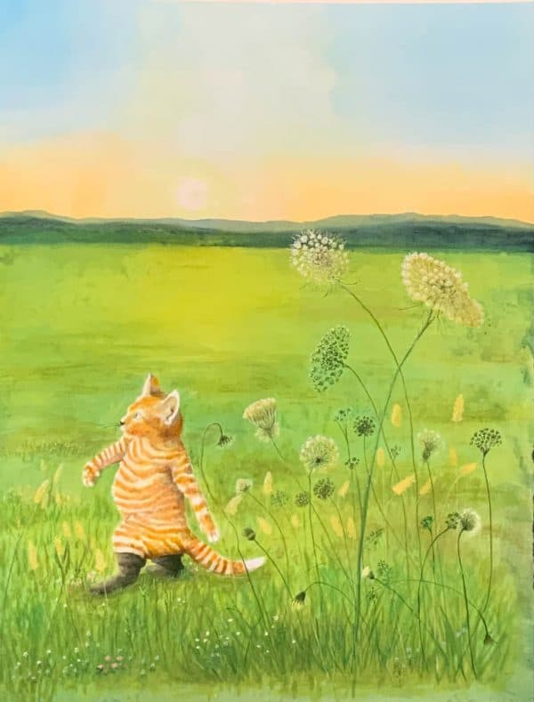Puss in Boots by Catherine Forsayeth
