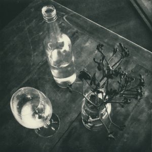 Still Life by Hilary Warren