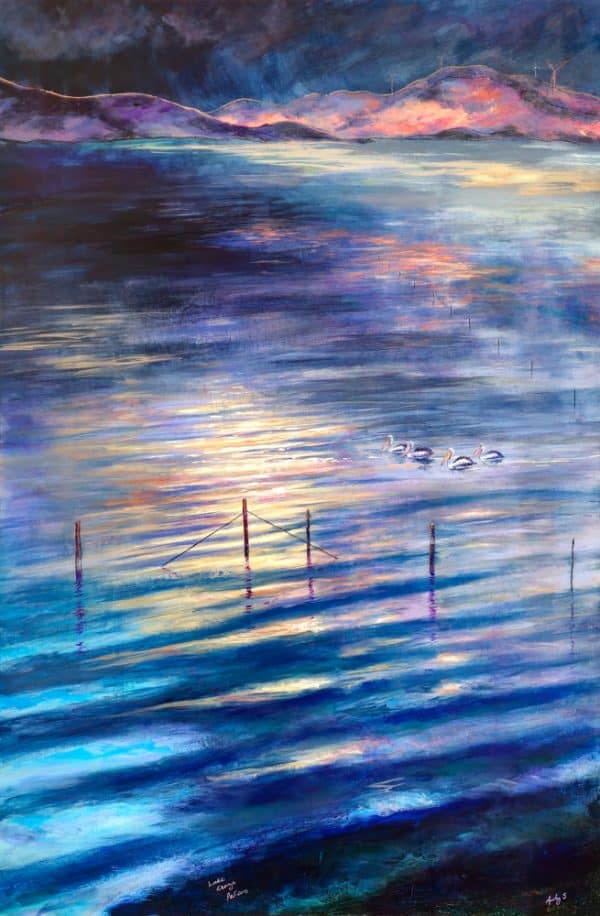 Lake George Pelicans by Andy Sumner