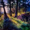 So Much to Explore by Andy Sumner