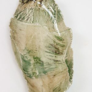 Bark Dish No. 1 by Josephine Townsend