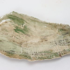 Bark Dish No. 2 by Josephine Townsend