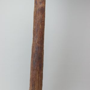 Ironbark No. 1 by Josephine Townsend
