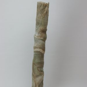 Kurrajong by Josephine Townsend
