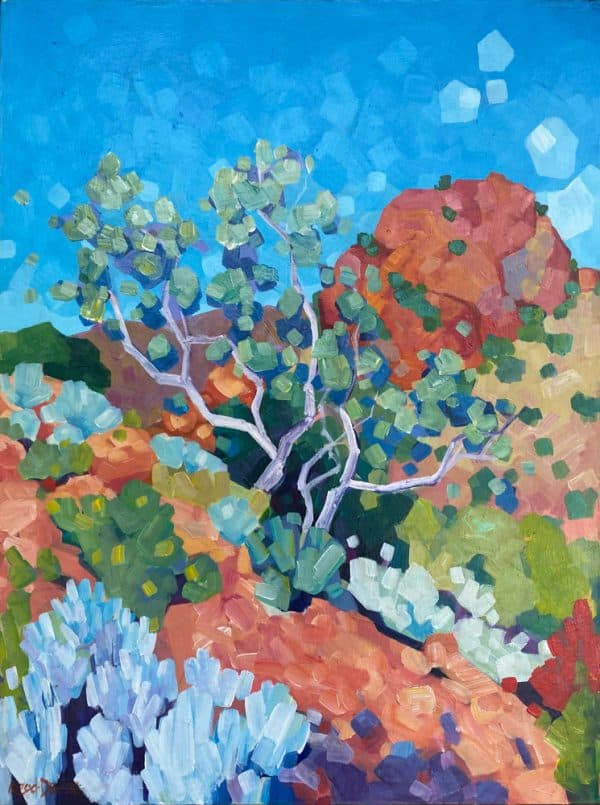 Outback Garden by Mellissa Read-Devine