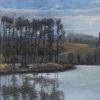 Scrivener Pines – Lake Burley Griffin by Roger Beale AO
