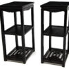 Black lacquered plant stands